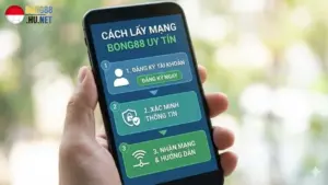 cach-lay-mang-bong88-uy-tin